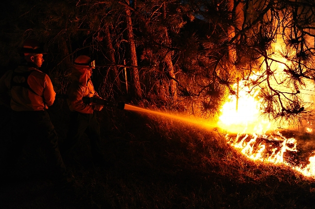 Dos bomberos trabajando en la extinción de un incendio. | skeeze