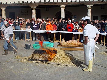 Matanza en Covarrubias | ECovarrubias.com