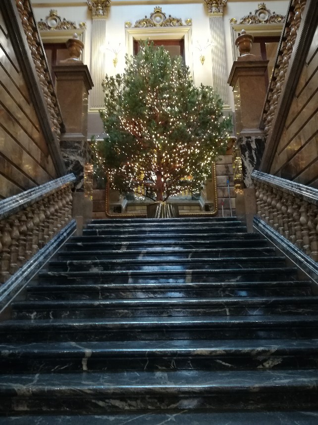 La Diputación ya ha puesto el árbol de Navidad.