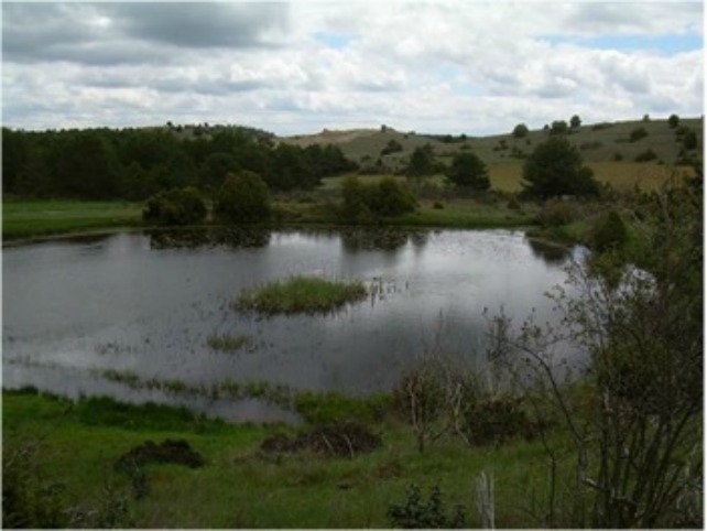 Laguna sagrada llamada Poceiron (dios celta Airón), La Aldea del Pinar, Burgos. Era santuario sagrado vinculado al rito de paso al más allá. En España hay más de 60 lugares así llamados con el mismo significado.