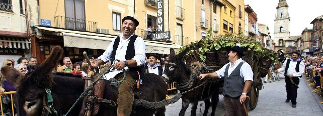 Foto: Turismo Castilla y León