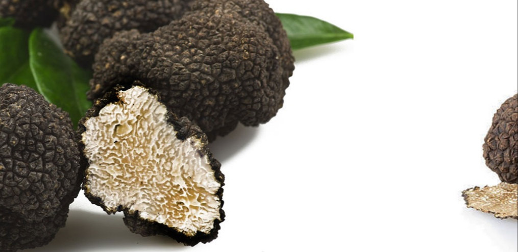 Trufas Arotz. Foto: Arotz