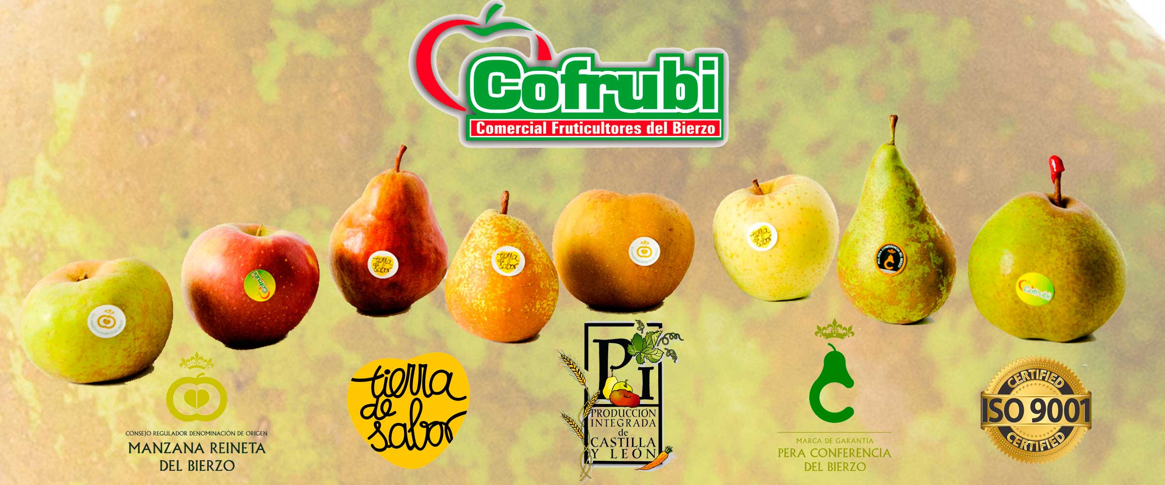Variedades de Manzanas y Peras Cofrubi. Foto: Cofrubi