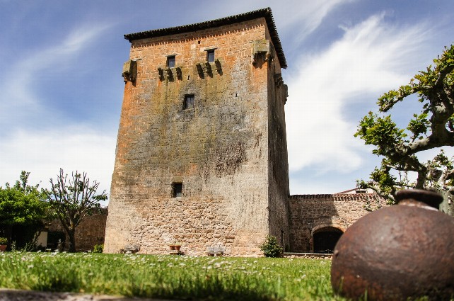 Torreón de Fernan González