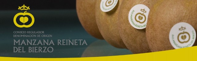 D.O Manzana Reineta