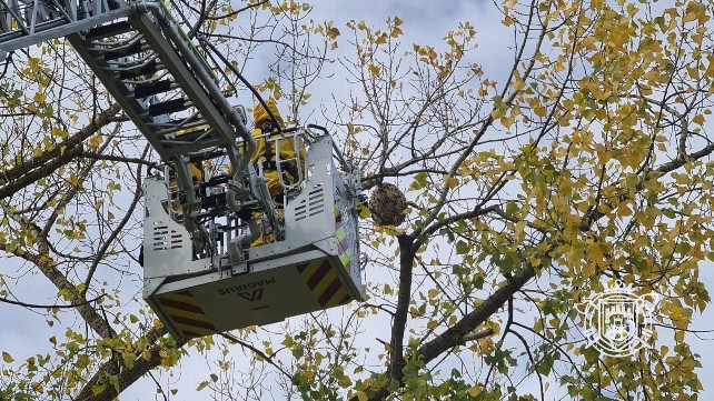 bomberos de burgos